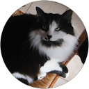 Fiona PERREAU profile picture