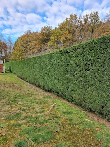 Groupe tapin avenir paysage dieudonne service place picture