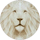 Lebour Guignon profile picture