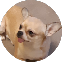 Delphine Leroy profile picture