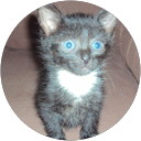 flament claire profile picture