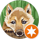 KESSAL Mahmoud profile picture