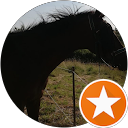 Doudou Bibiche profile picture