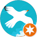 Adeline Wiart profile picture