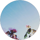 Marie Brognon profile picture