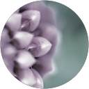 Gonzalez Emma profile picture