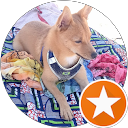 b. bastin profile picture