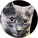 Avrilnico Krok profile picture