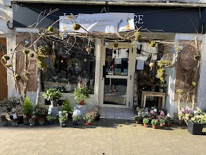 Brin de nature place picture