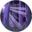 Lolita Vidal profile picture