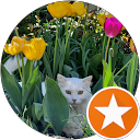 juju niki profile picture