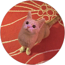 Karen Pottier profile picture