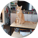 gwenaelle tudal profile picture