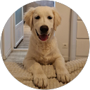 Emilie Bonimeux profile picture