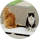 Estelle Dureisseix profile picture