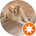 Karine profile picture