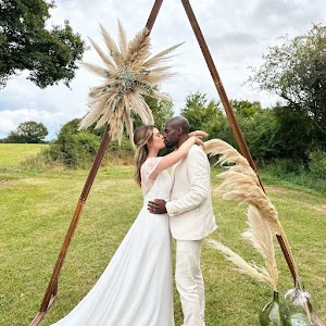 STAR TOONS (Siège Social) place picture