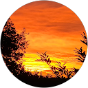 Angelique Grison profile picture