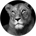 Cé profile picture