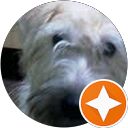 Sylvain Cassart profile picture